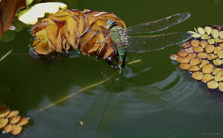 DSC_3540.JPG