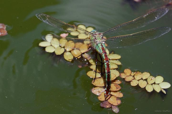 DSC_3564.JPG