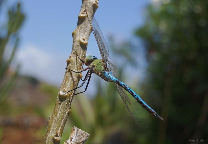 DSC_3584.JPG