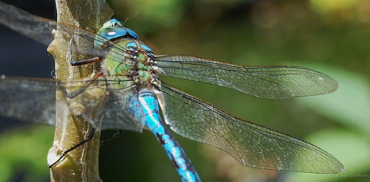 DSC_3598.JPG
