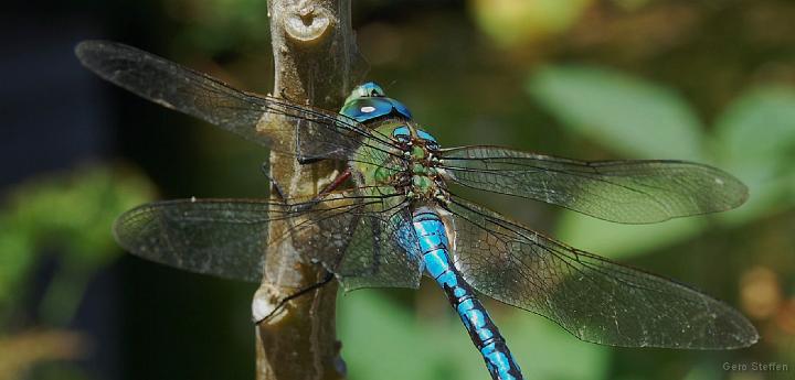 DSC_3602.JPG