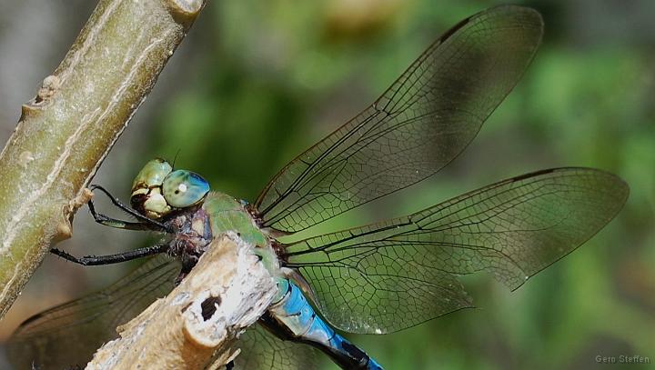 DSC_3644.JPG