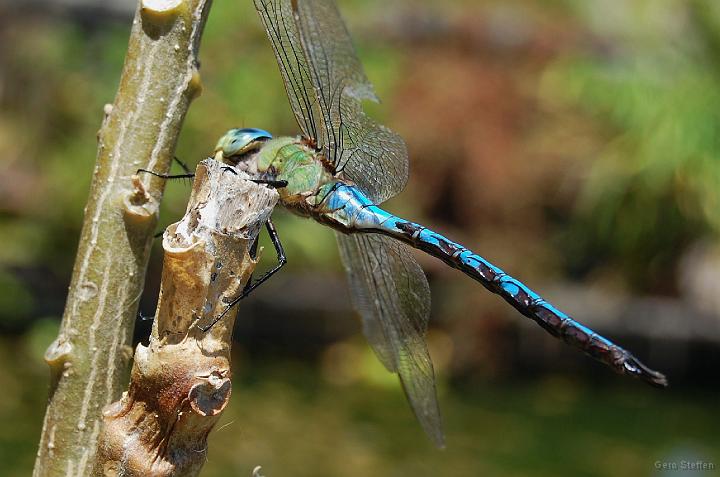 DSC_3648.JPG