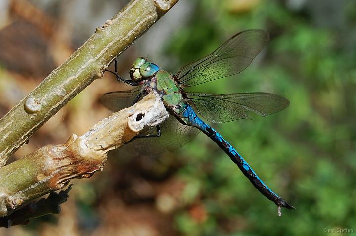 DSC_3652.JPG
