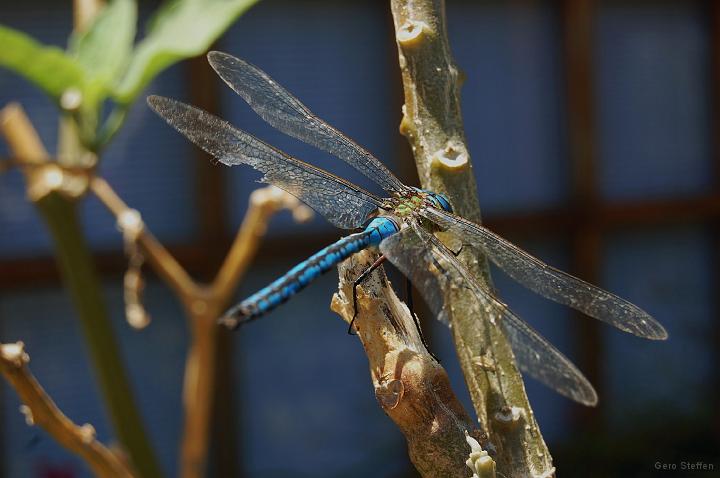 DSC_3654.JPG