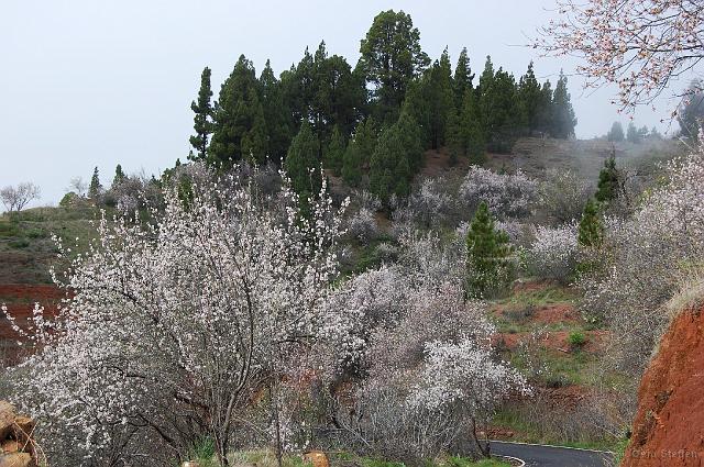 DSC_4371.JPG